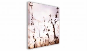 OBRAZ NA PŁÓTNIE 085 Polne kwiaty 40x40cm