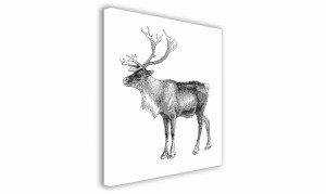 OBRAZ NA PŁÓTNIE 030 Graficzny renifer 50x50cm