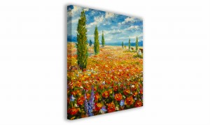 OBRAZ NA PŁÓTNIE 084 Pole maków 60x60cm