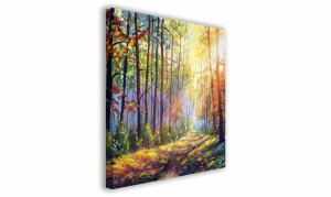 OBRAZ NA PŁÓTNIE 086 Promienie słońca 60x60cm