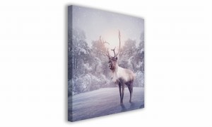 OBRAZ NA PŁÓTNIE 087 Renifer 60x60cm