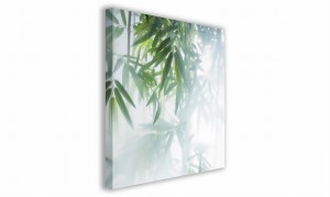 OBRAZ NA PŁÓTNIE 118 Zamglone liście II 60x60cm