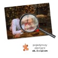 Puzzle-120x85_1000_element.jpg
