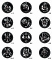 NUMERACJA ZODIAK.jpg