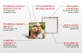 INFOGRAFIKA PŁÓTNO ZDJECIE.jpg