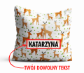 pd26 strzałka.png
