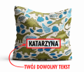 pd49 strzałka.png