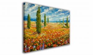 OBRAZ NA PŁÓTNIE 084 Pole maków 30x20cm