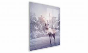 OBRAZ NA SZKLE KWADRATOWY 40x40cm 087 Renifer
