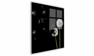 OBRAZ NA SZKLE KWADRATOWY 50x50cm 015 Dmuchawce