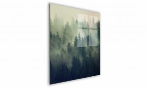 OBRAZ NA SZKLE KWADRATOWY 50x50cm 027 Gęsty las