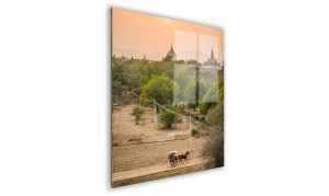 OBRAZ NA SZKLE KWADRATOWY 50x50cm 033 Indie