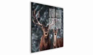 OBRAZ NA SZKLE KWADRATOWY 50x50cm 034 Jelenie zimą
