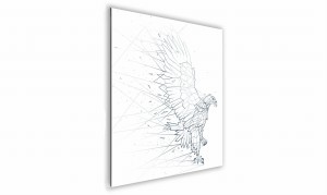 OBRAZ NA SZKLE KWADRATOWY 50x50cm 074 Orzeł