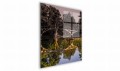 obraz (1).jpg