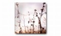 obraz-1.jpg