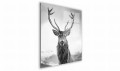 obraz (1).jpg