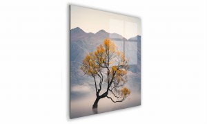 OBRAZ NA SZKLE KWADRATOWY 70x70cm 022 Drzewo we mgle