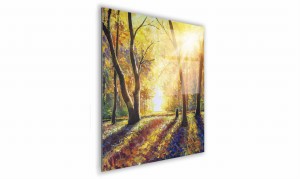 OBRAZ NA SZKLE KWADRATOWY 70x70cm 037 Jesienne słońce