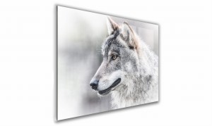 OBRAZ NA SZKLE PROSTOKĄTNY 100x70cm 028 Głowa wilka