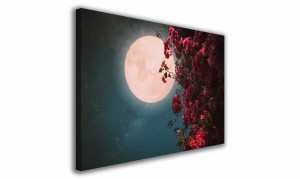 OBRAZ NA SZKLE PROSTOKĄTNY 60x40cm 049 Księżyc