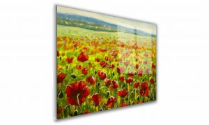 OBRAZ NA SZKLE PROSTOKĄTNY 60x40cm 059 Maki