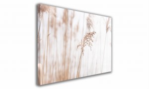 OBRAZ NA PŁÓTNIE PROSTOKĄTNY - Źdźbło