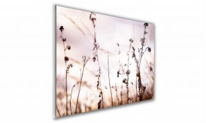 OBRAZ NA SZKLE PROSTOKĄTNY 40x30cm 085 Polne kwiaty