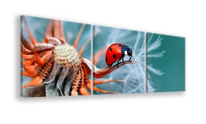 OBRAZ NA PŁÓTNIE - 3-CZĘŚCIOWY - TYP A - Biedronka