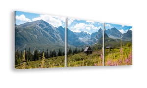 OBRAZ NA PŁÓTNIE - 3-CZĘŚCIOWY - TYP A - Górska łąka