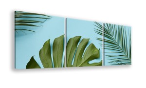 OBRAZ NA PŁÓTNIE - 3-CZĘŚCIOWY - TYP A - Monstera