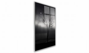 OBRAZ NA SZKLE PROSTOKĄTNY 20x30cm 024 Drzewo