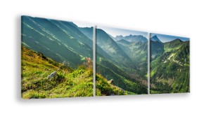 OBRAZ NA PŁÓTNIE - 3-CZĘŚCIOWY - TYP A - Przełęcz