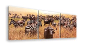 OBRAZ NA PŁÓTNIE - 3-CZĘŚCIOWY - TYP A - Sawanna