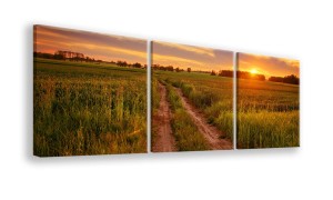 OBRAZ NA PŁÓTNIE - 3-CZĘŚCIOWY - TYP A - Ścieżka na polach
