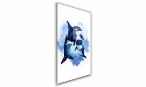 OBRAZ NA SZKLE PROSTOKĄTNY 70x100cm 073 Orki