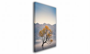 OBRAZ NA PŁÓTNIE 022 Drzewo we mgle 40x60cm