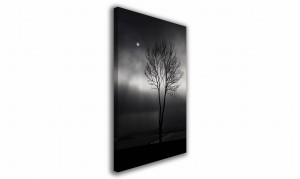 OBRAZ NA PŁÓTNIE 024 Drzewo 70x100cm