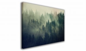 OBRAZ NA PŁÓTNIE 027 Gęsty las 40x30cm