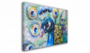 OBRAZ NA PŁÓTNIE 081 Paw 100x70cm