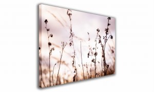 OBRAZ NA PŁÓTNIE 085 Polne kwiaty 60x40cm