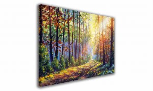 OBRAZ NA PŁÓTNIE 086 Promienie słońca 60x40cm