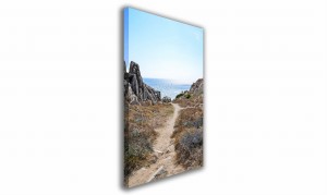 OBRAZ NA PŁÓTNIE 100 Ścieżka nad morze 40x60cm