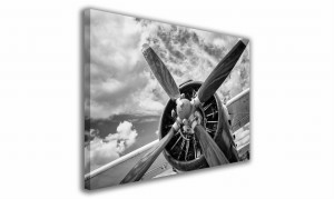 OBRAZ NA PŁÓTNIE 101 Śmigło 60x40cm