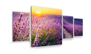 OBRAZ NA SZKLE 4-CZĘŚCIOWY - TYP D - Lawenda