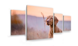 OBRAZ NA SZKLE 4-CZĘŚCIOWY - TYP D - Pies