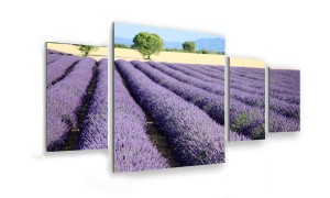 OBRAZ NA SZKLE 4-CZĘŚCIOWY - TYP D - Pole lawendy