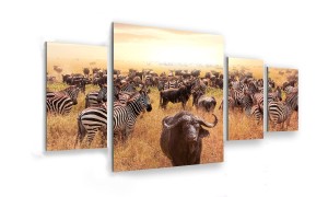 OBRAZ NA SZKLE 4-CZĘŚCIOWY - TYP D - Sawanna