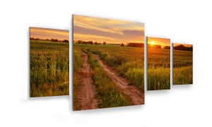 OBRAZ NA SZKLE 4-CZĘŚCIOWY - TYP D - Ścieżka na polach