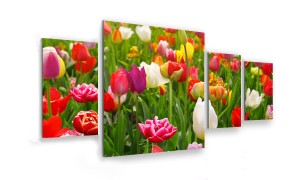 OBRAZ NA SZKLE 4-CZĘŚCIOWY - TYP D - Tulipany